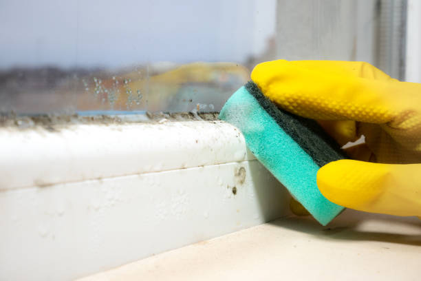 Water Damage Restoration in Sussex, NJ