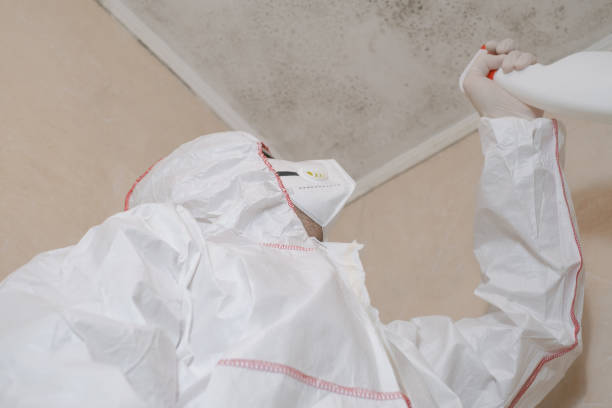 Best Mold Testing  in Sussex, NJ