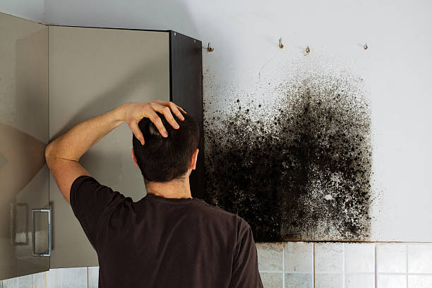 Best Emergency Mold Removal  in Sussex, NJ
